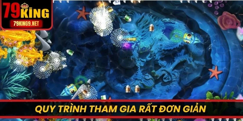 Quy trình tham gia rất đơn giản và cơ hội khám phá đại dương