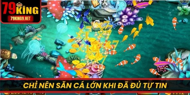 Chỉ nên săn cá lớn khi đã đủ tự tin để kiếm thêm thưởng lớn