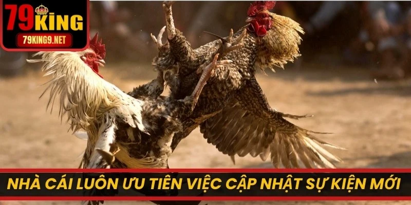 Nhà cái luôn ưu tiên việc cập nhật những sự kiện chọi kê mới nhất