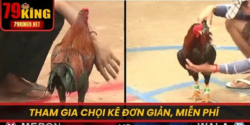 Tham gia chọi kê đơn giản, miễn phí trên mọi nền tảng online