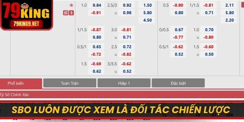 SBO luôn được xem là đối tác chiến lược thành công thời đại mới